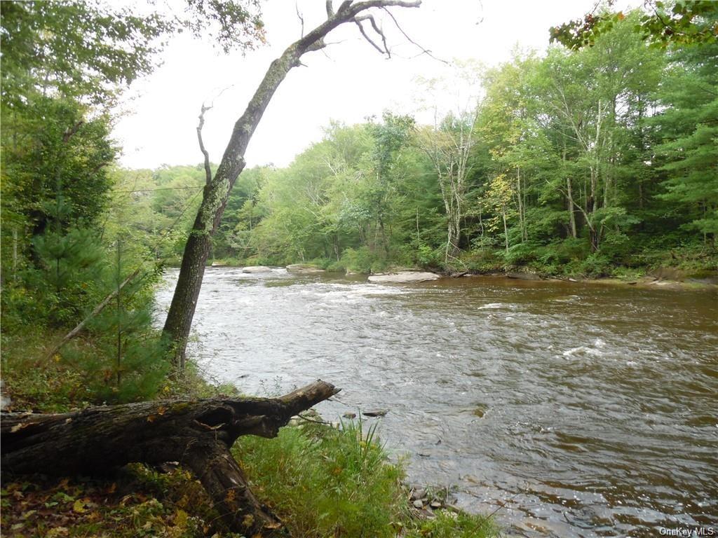 Plank Road, Bethel, New York image 6