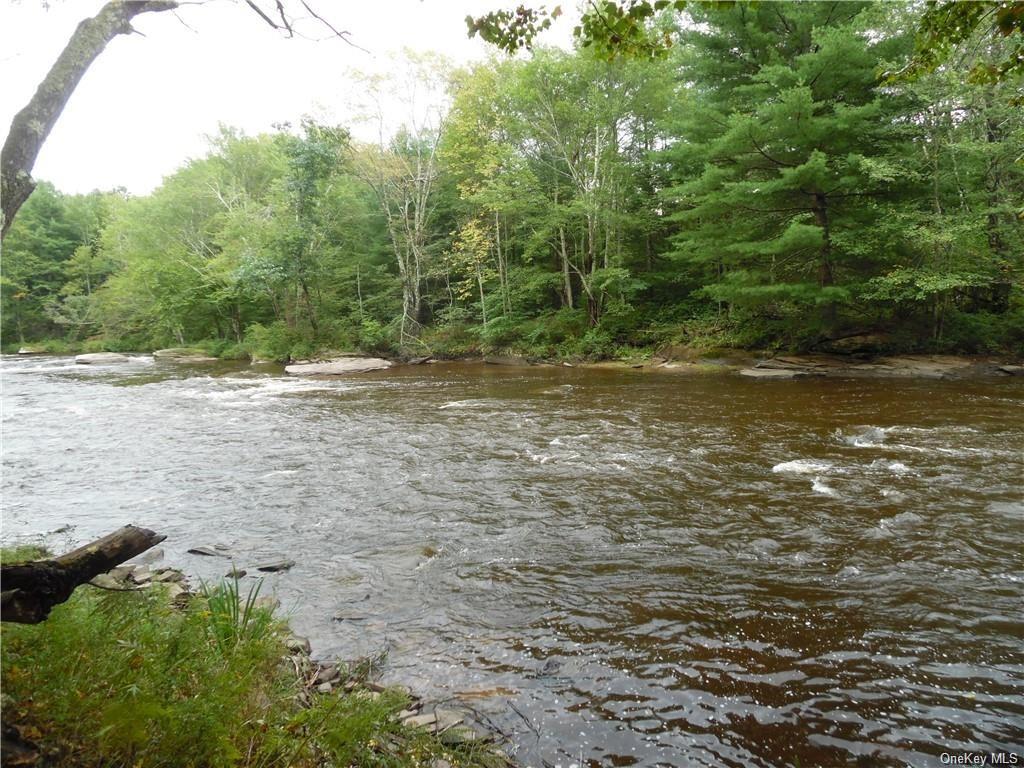 Plank Road, Bethel, New York image 1