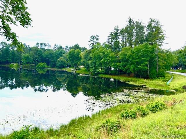 Lot 8.4 Beaver Brook Road, Yulan, New York image 3