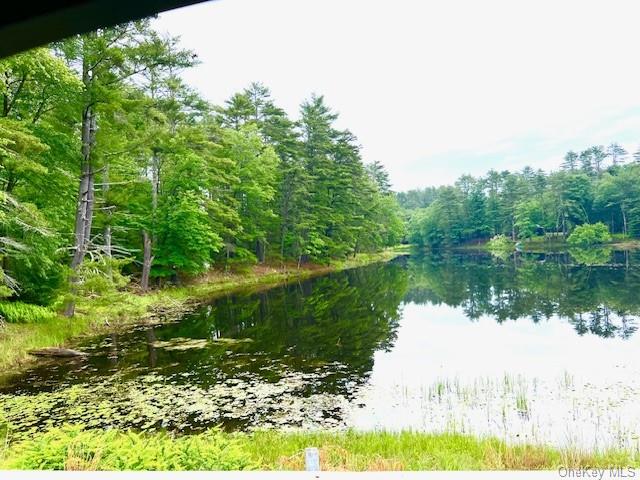 Lot 8.4 Beaver Brook Road, Yulan, New York image 5