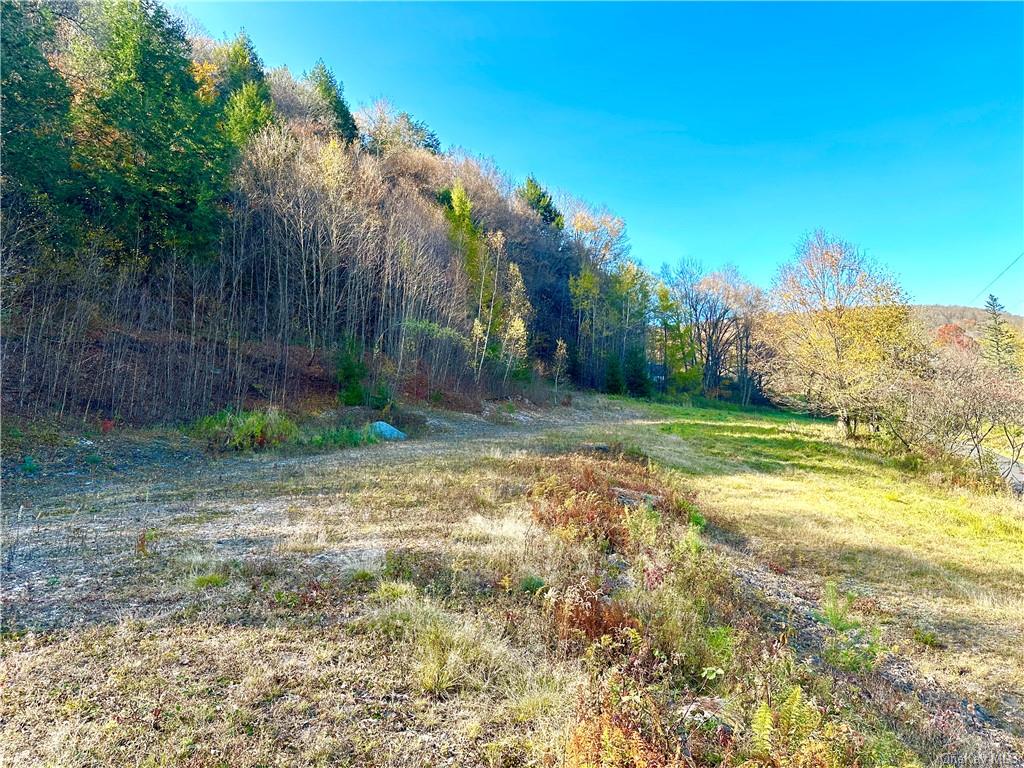 Hazel Road, Livingston Manor, New York image 1