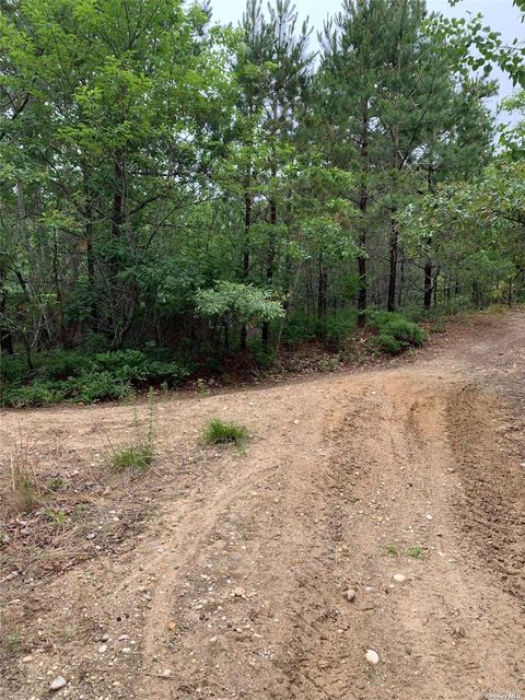 Vacant Land For Sale - Woodland Road<br/> Manorville, NY 11949