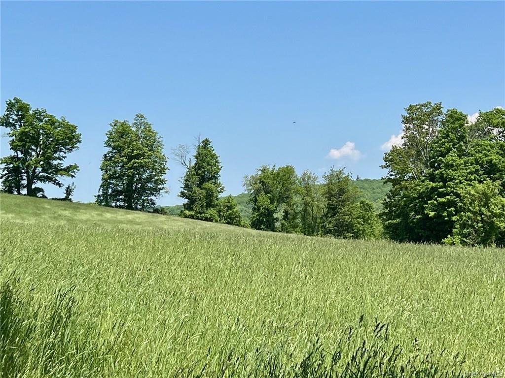 Silver Mountain Road, Millerton, New York image 9