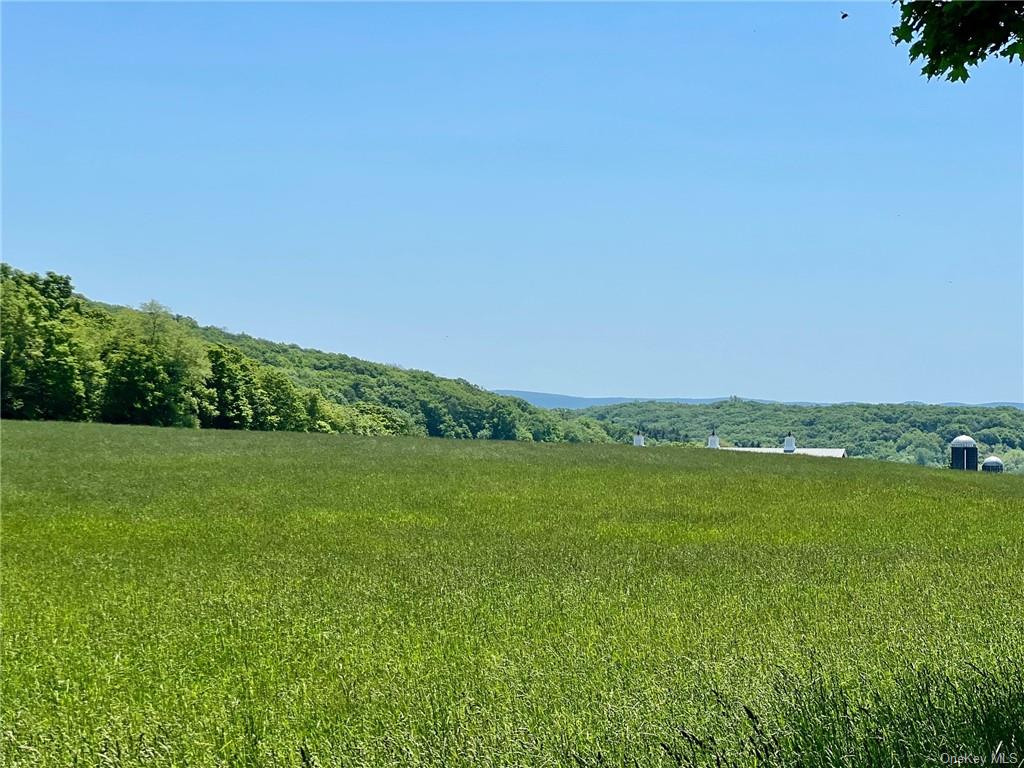 Silver Mountain Road, Millerton, New York image 8