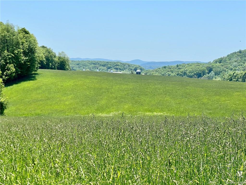 Silver Mountain Road, Millerton, New York image 13