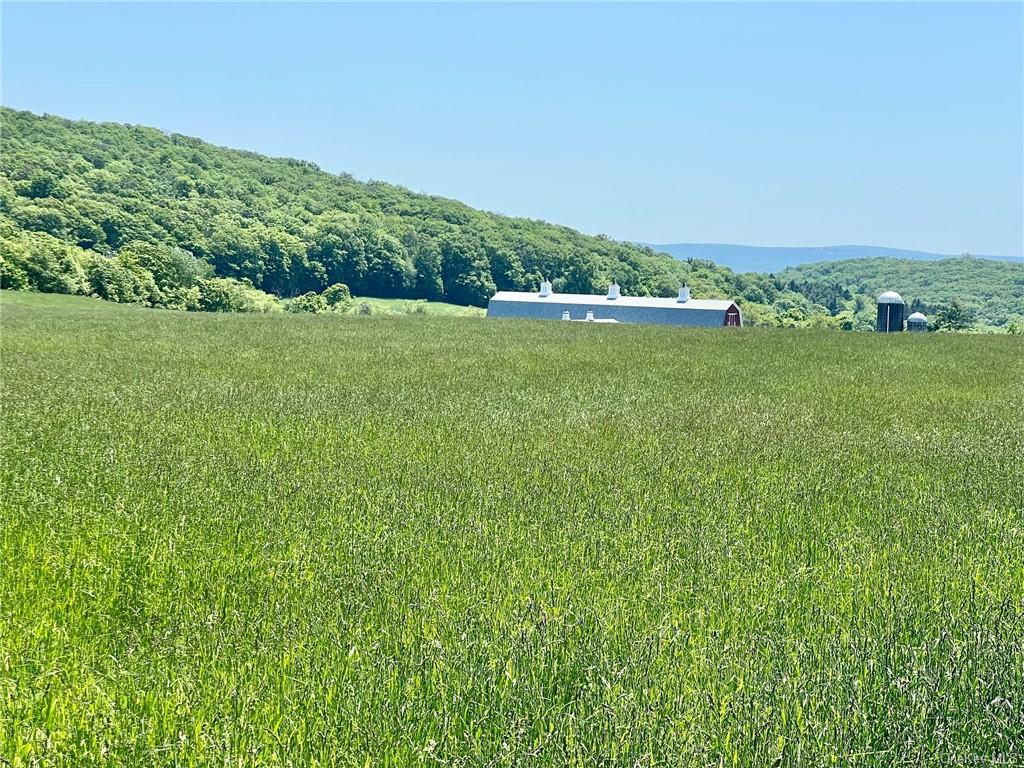 Silver Mountain Road, Millerton, New York image 7