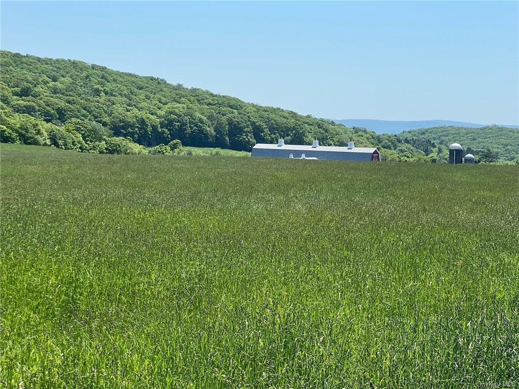 Silver Mountain Road, Millerton, New York image 19