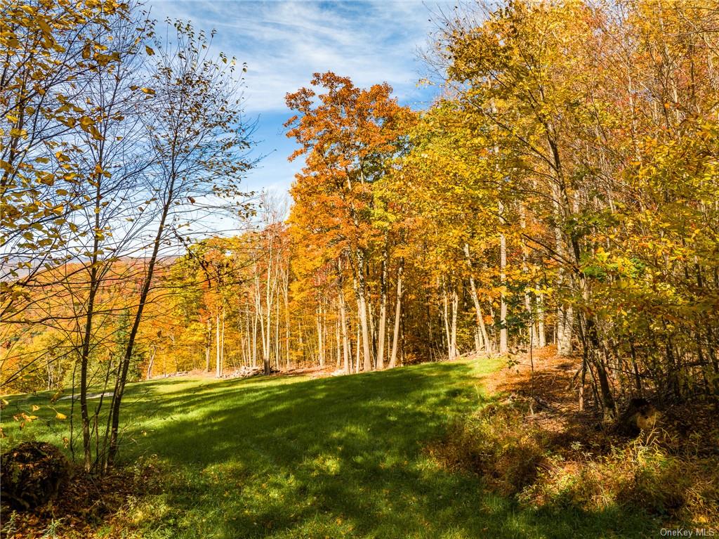 Tbd Tower Lane, Walton, New York image 9