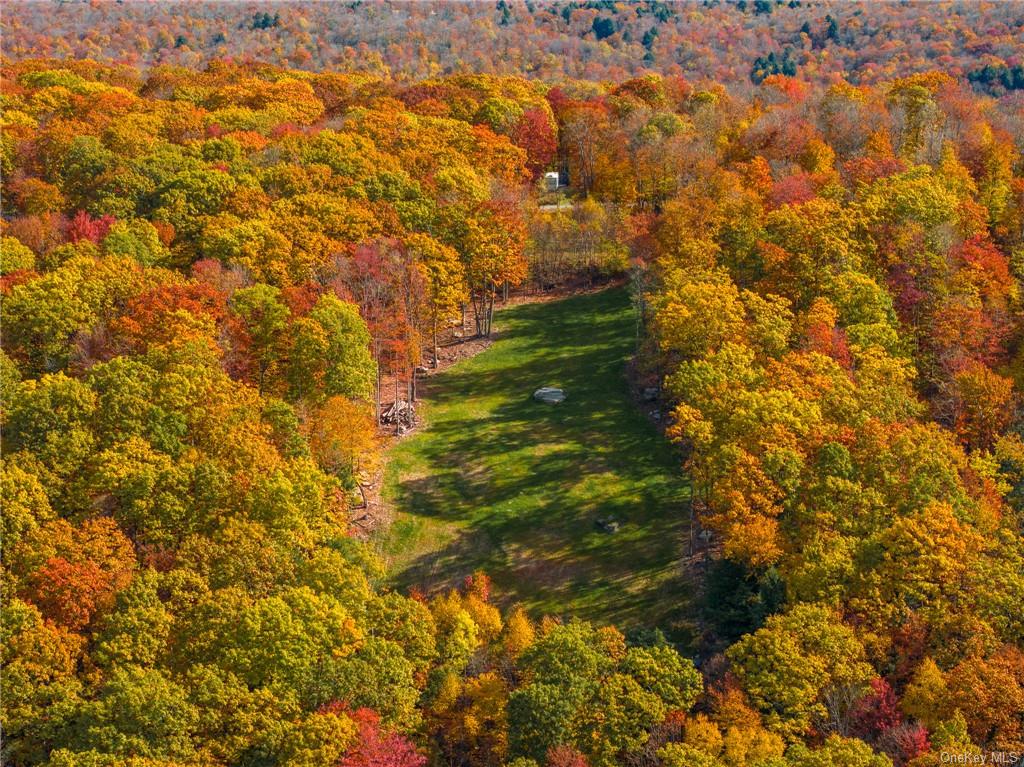 Tbd Tower Lane, Walton, New York image 5