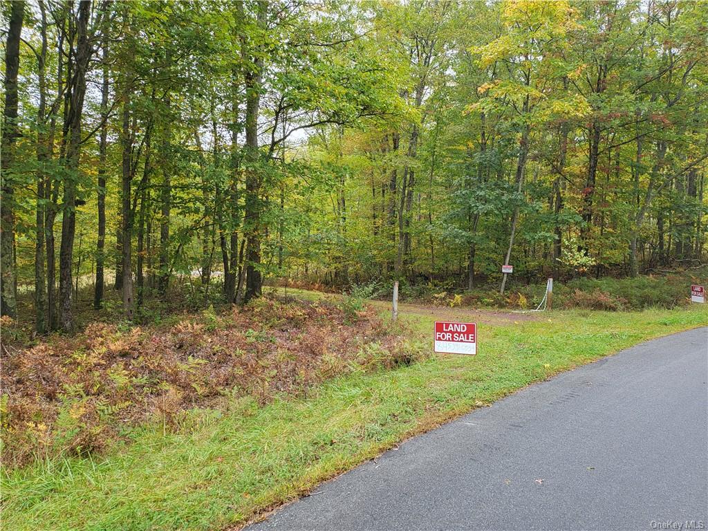 Cushetunk Drive, Narrowsburg, New York image 4