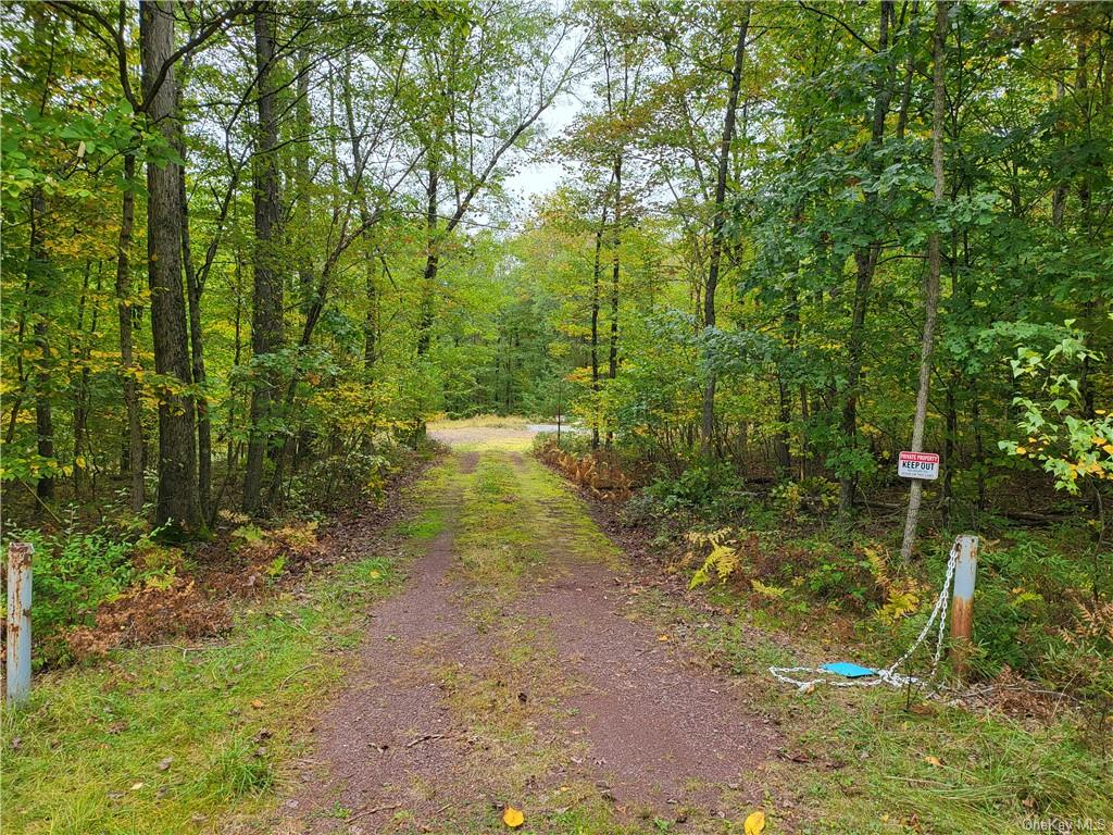 Cushetunk Drive, Narrowsburg, New York image 1