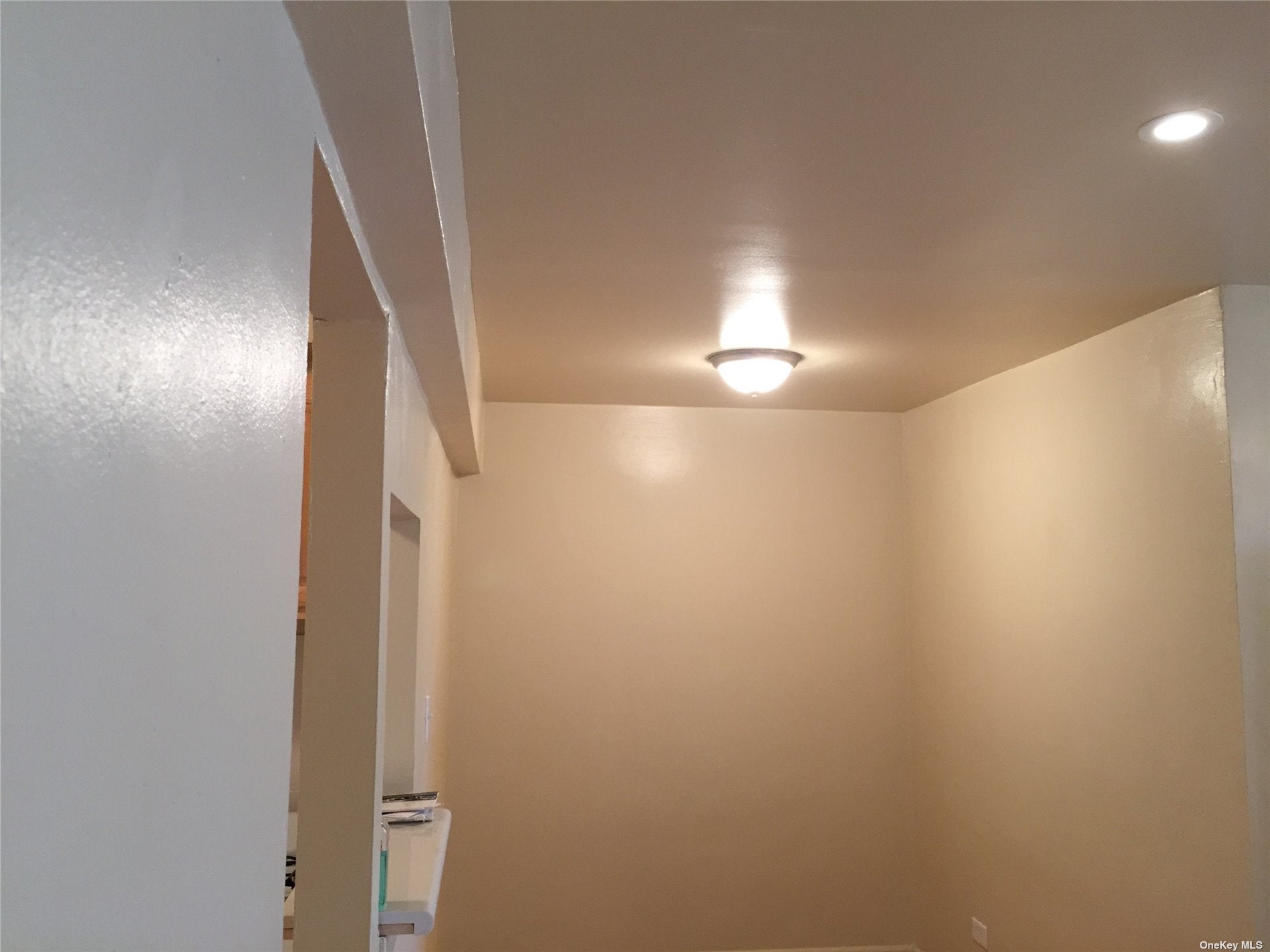 87-70 173rd Street 5G - Photo 4