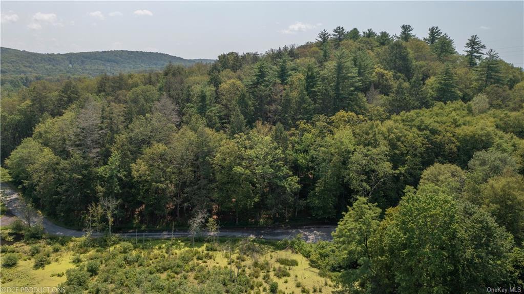 Pond Gut Road, Pleasant Valley, New York image 1