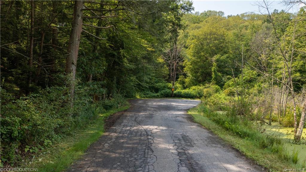 Pond Gut Road, Pleasant Valley, New York image 18