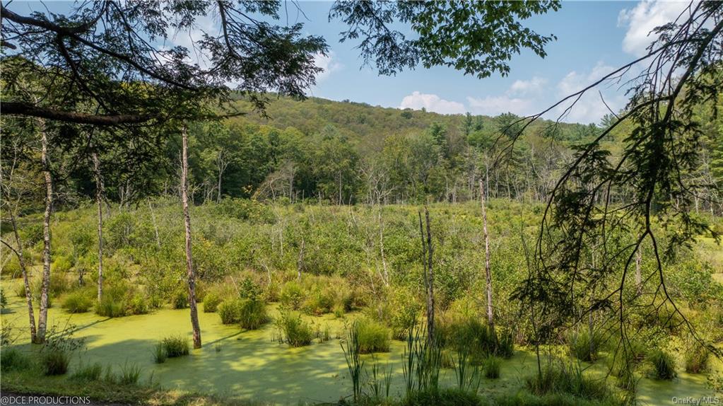 Pond Gut Road, Pleasant Valley, New York image 17