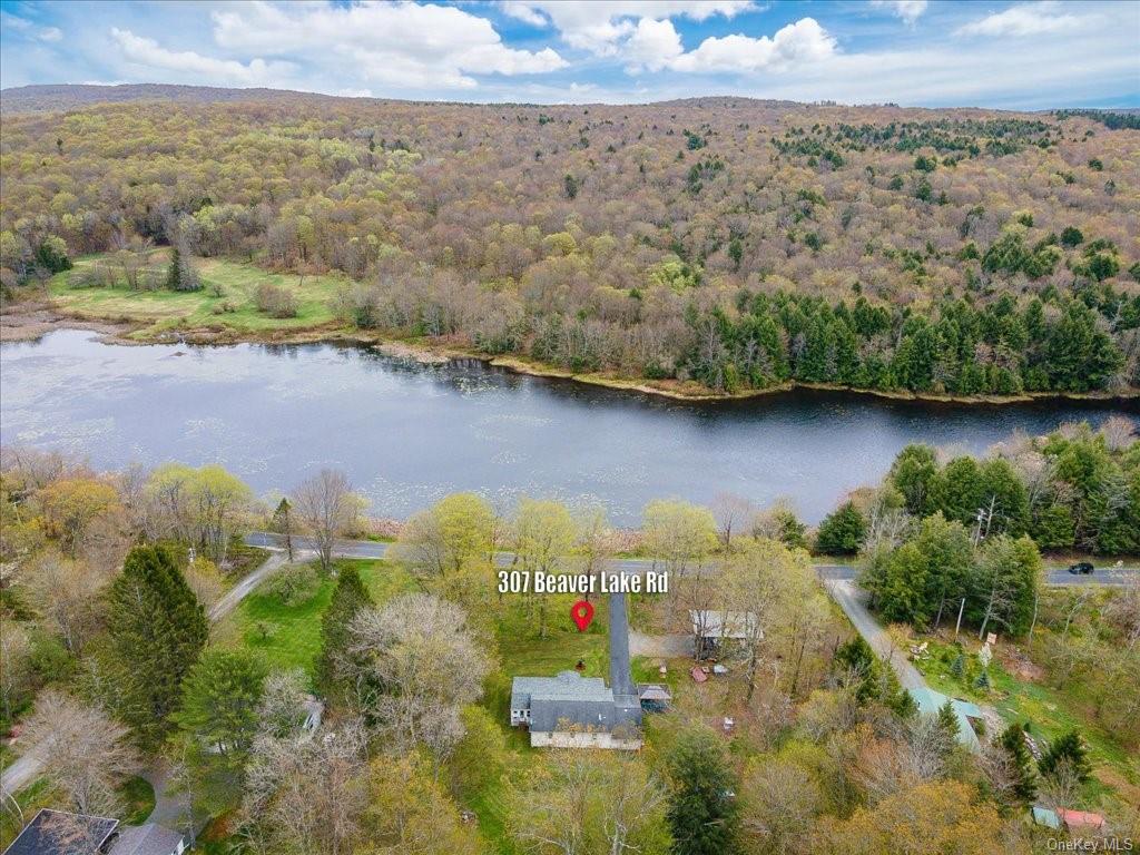 307 Beaver Lake Road, Livingston Manor, New York image 5