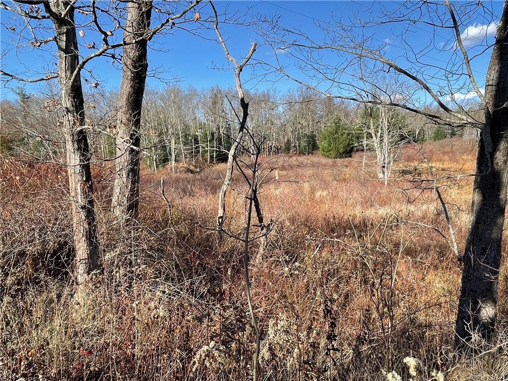 Brophy Road, Fallsburg, New York image 1