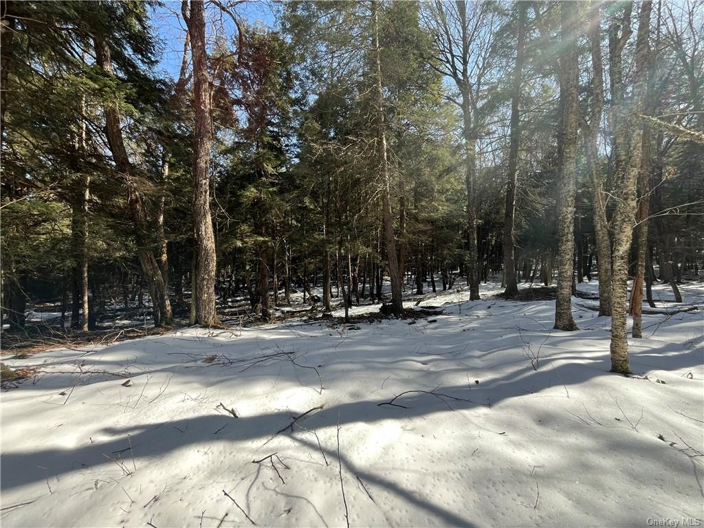 86  #24 Eagles Ridge Way, Parksville, New York image 17