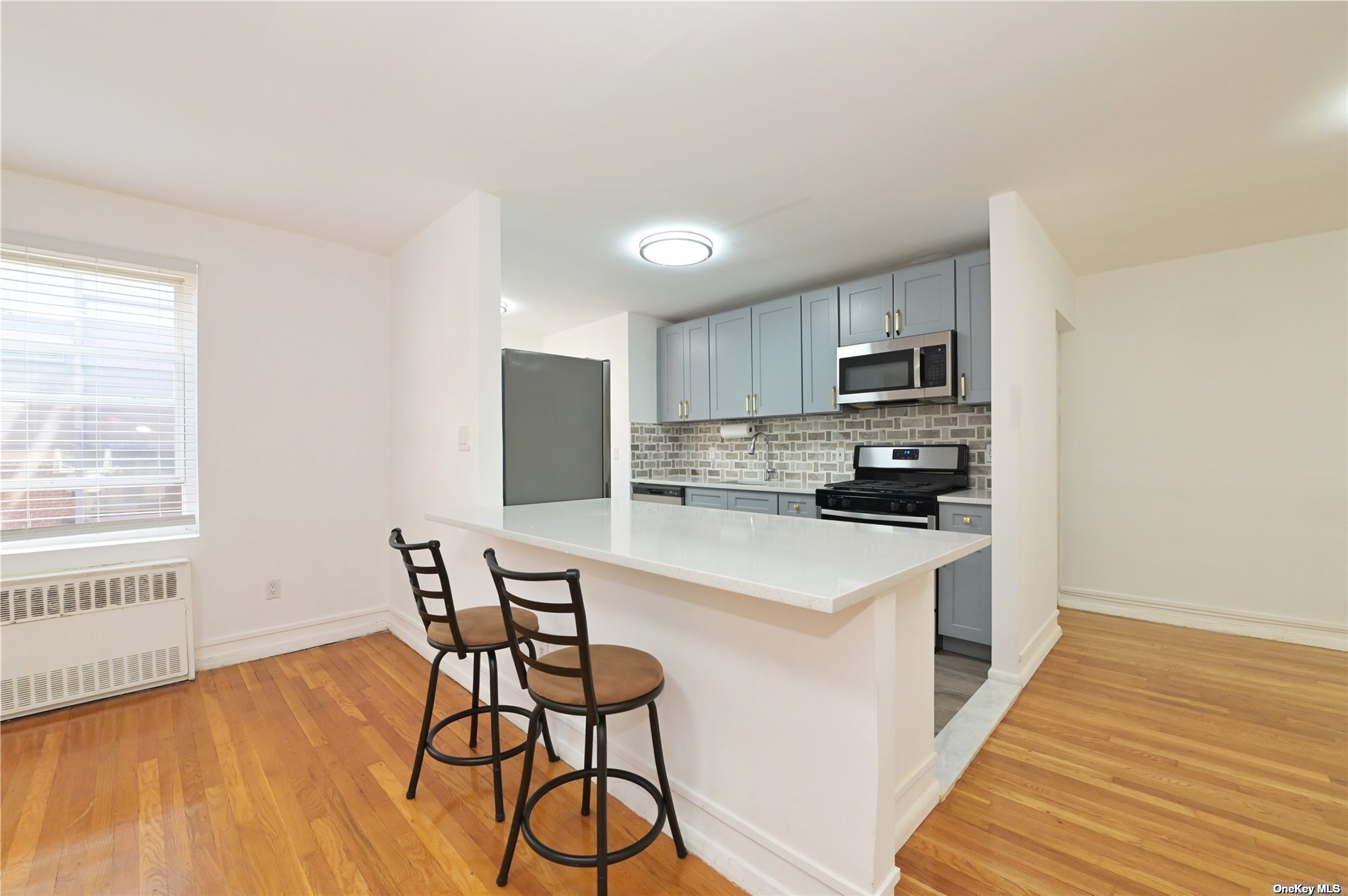 30 Stoner Avenue #3R, Great Neck, New York image 3