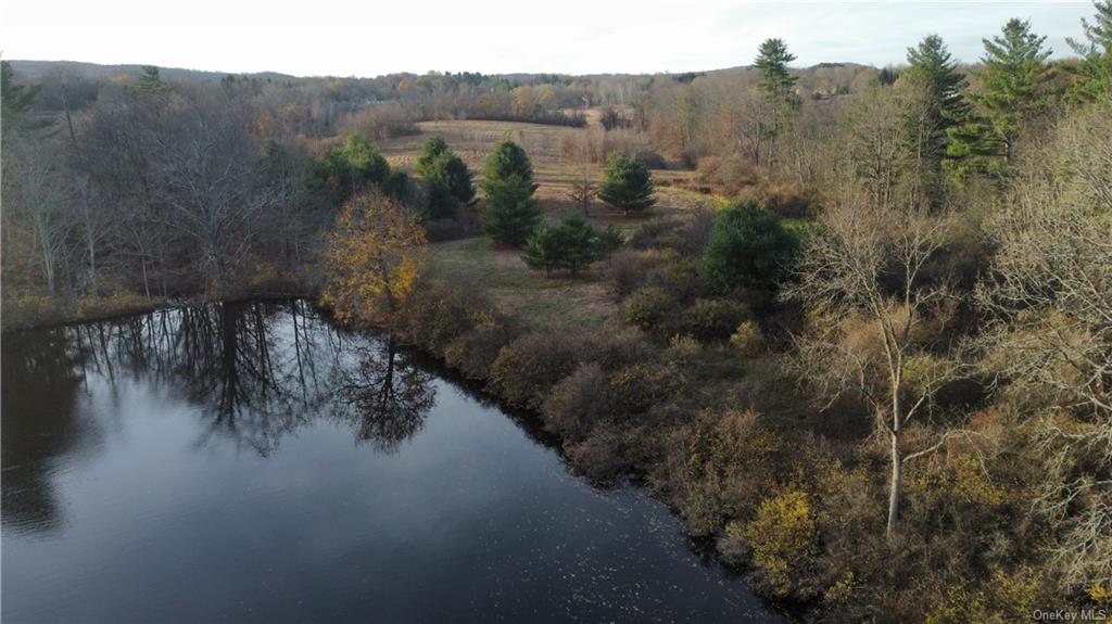 State Line Road, Millerton, New York image 6