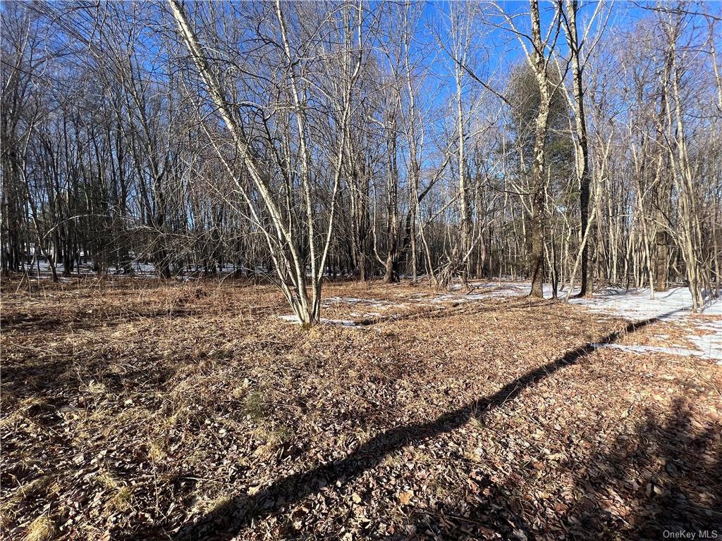 Lot 6.2 W State Route 52, Loch Sheldrake, New York image 5