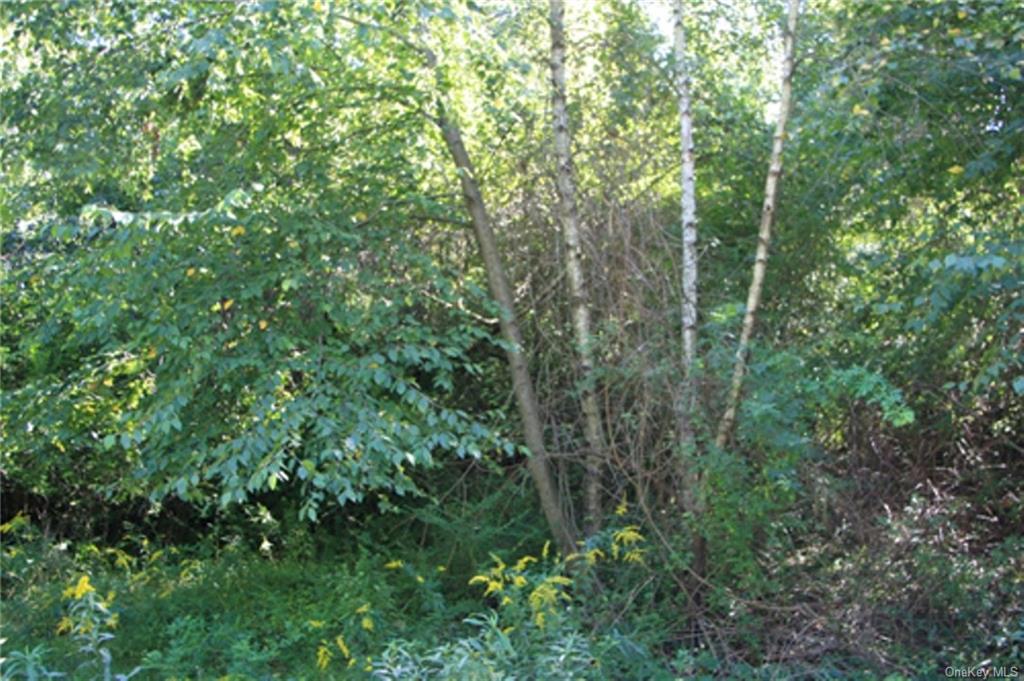 Lot 4, Overbrook Road, Dover Plains, New York image 3