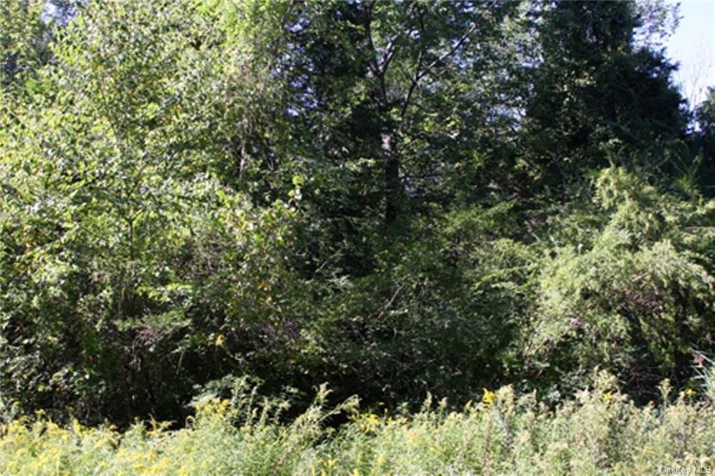 Lot 4, Overbrook Road, Dover Plains, New York image 6