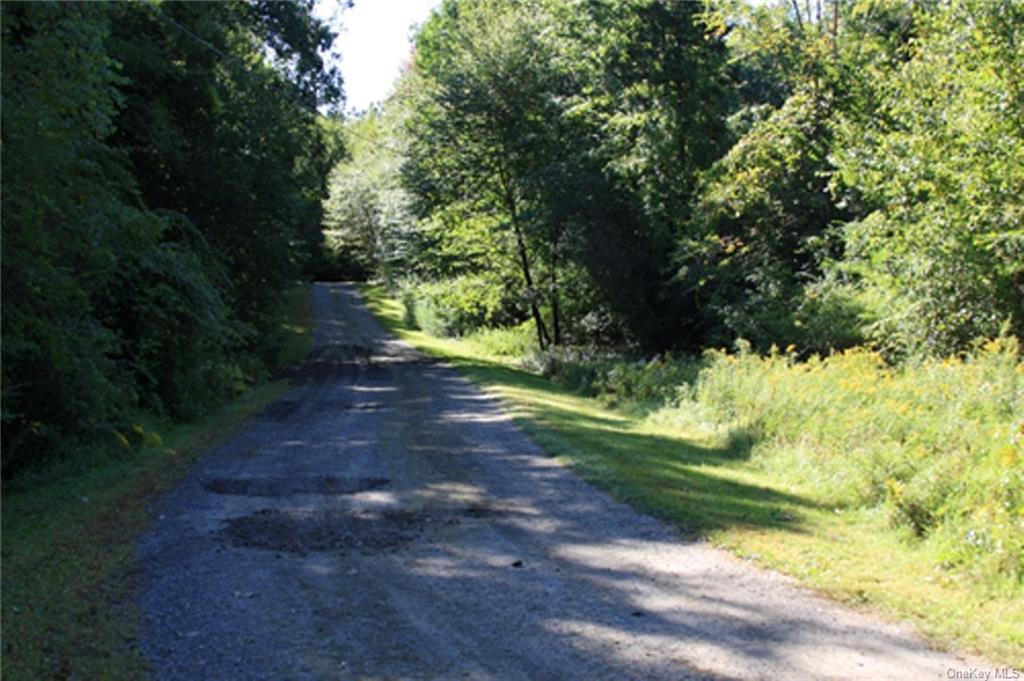 Lot 4, Overbrook Road, Dover Plains, New York image 9