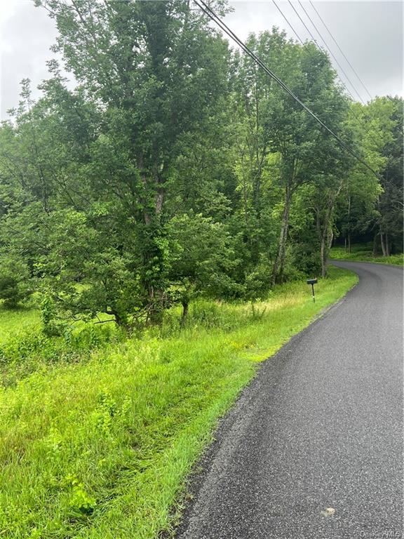 Tbd00 Little Hollow Road, Neversink, New York image 3