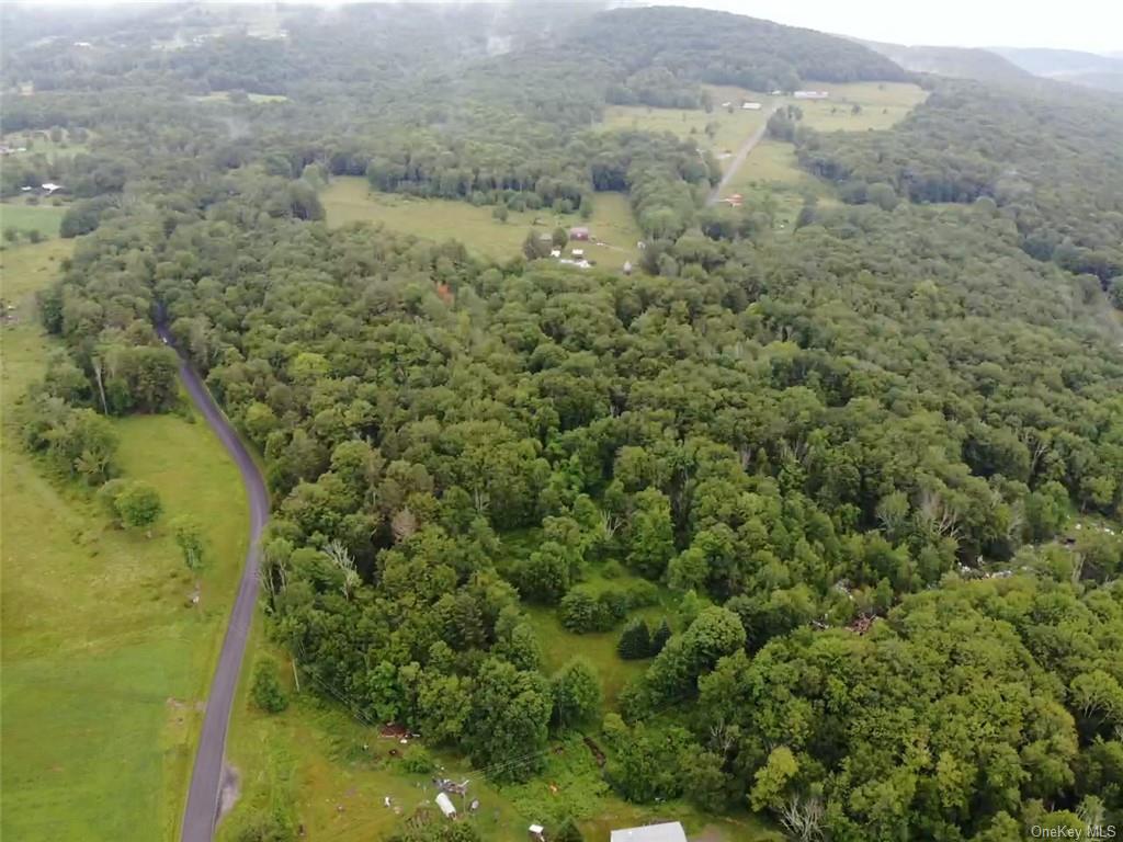 Tbd00 Little Hollow Road, Neversink, New York image 18