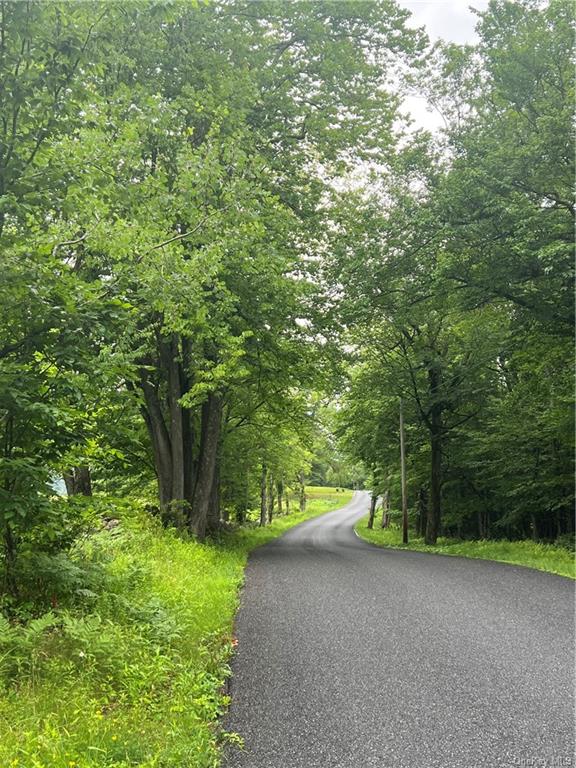 Tbd00 Little Hollow Road, Neversink, New York image 13