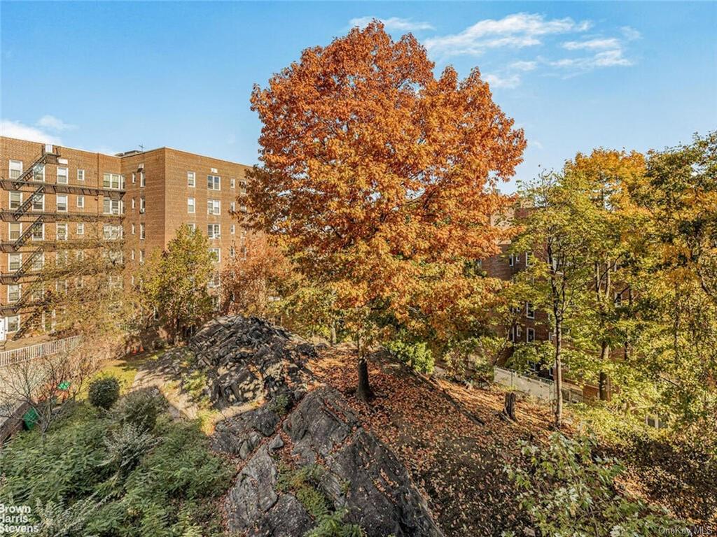 5614 Netherland Avenue #4B, Bronx, New York image 18