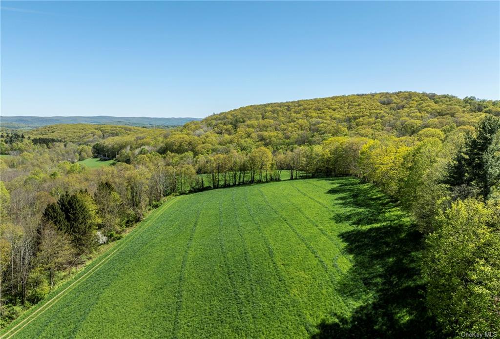 Silver Mountain Road, Millerton, New York image 3