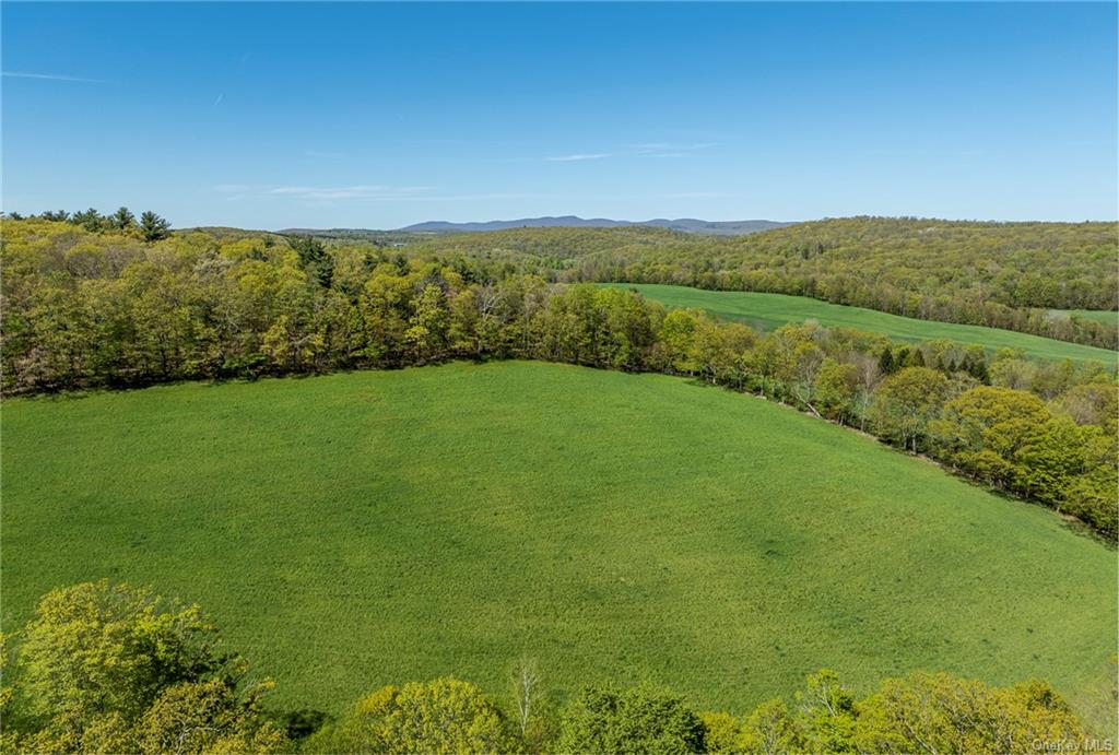 Silver Mountain Road, Millerton, New York image 8