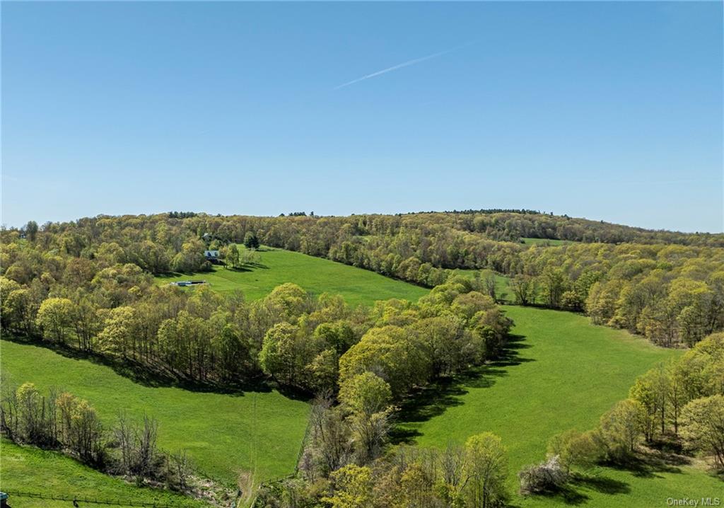 Silver Mountain Road, Millerton, New York image 5