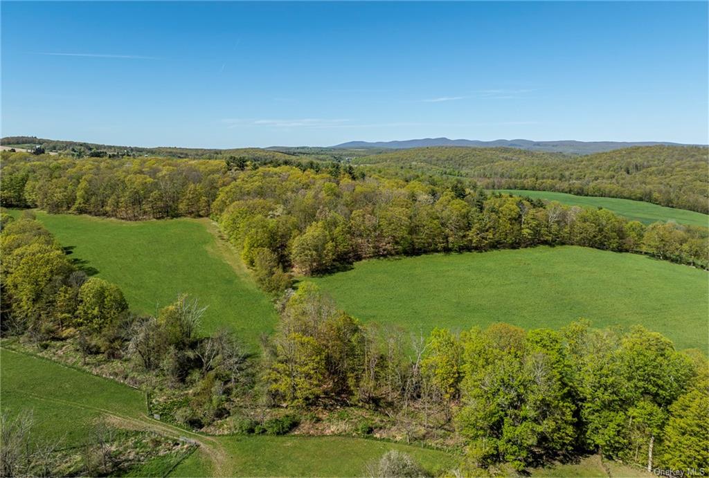 Silver Mountain Road, Millerton, New York image 7