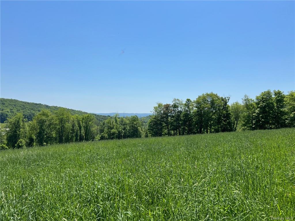 Silver Mountain Road, Millerton, New York image 22