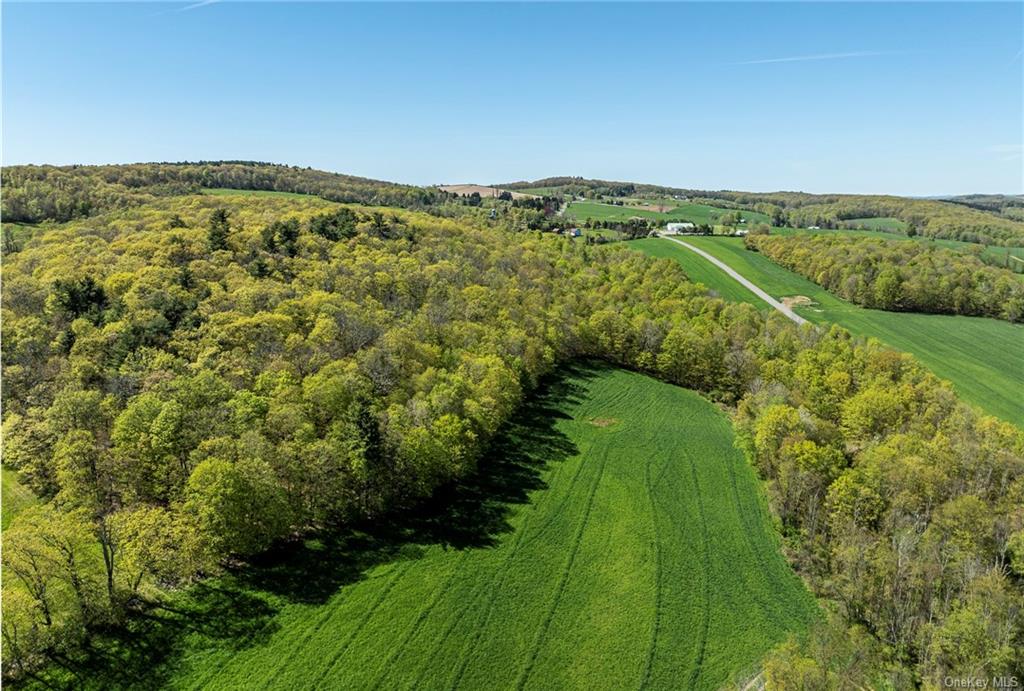 Silver Mountain Road, Millerton, New York image 9