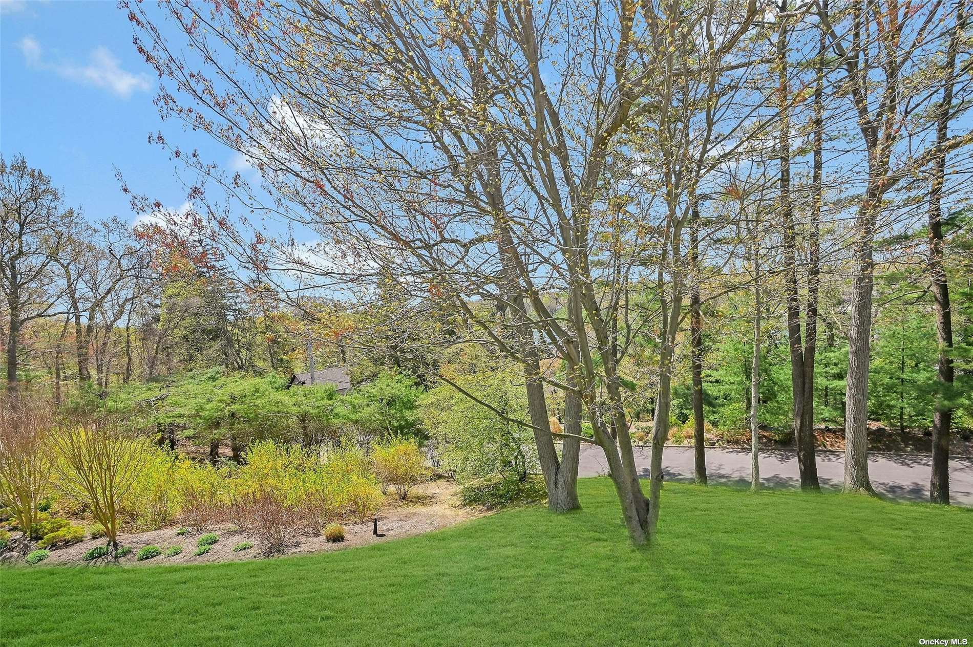 3 Crescent Court #3, Centerport, New York image 31