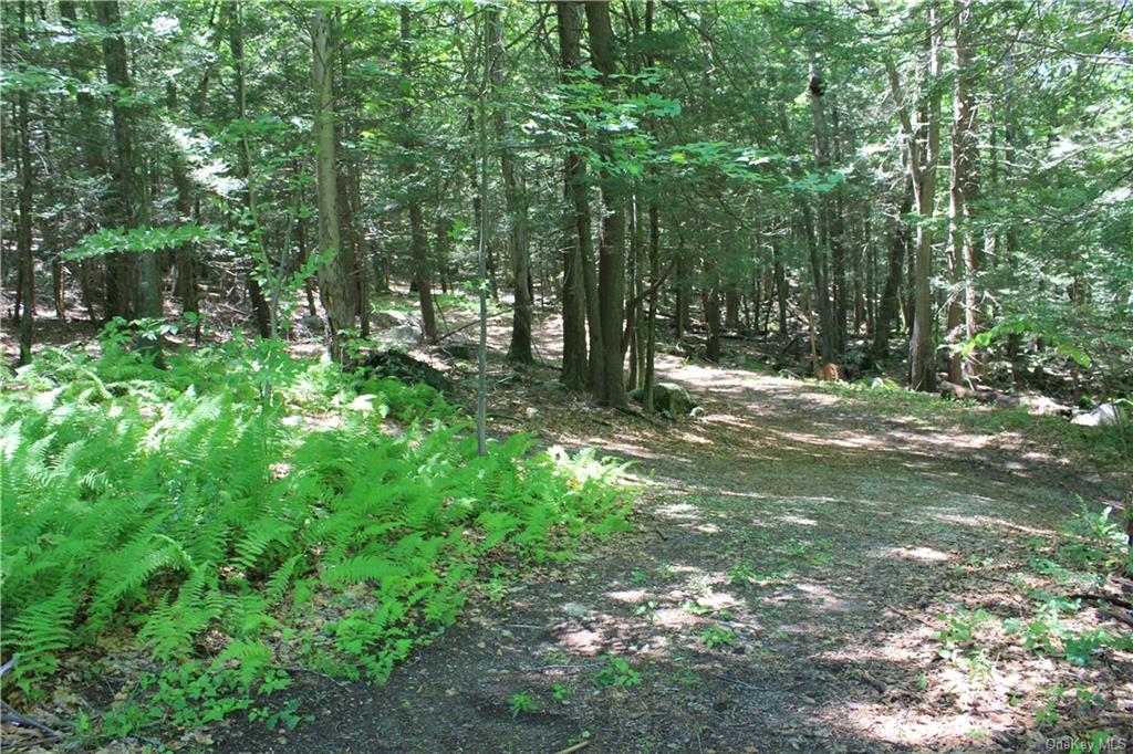 Rolling Meadow Lane, Pound Ridge, New York image 4