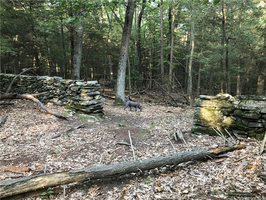 Rolling Meadow Lane, Pound Ridge, New York image 9