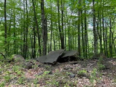 Railroad Road, Hunter, New York image 1