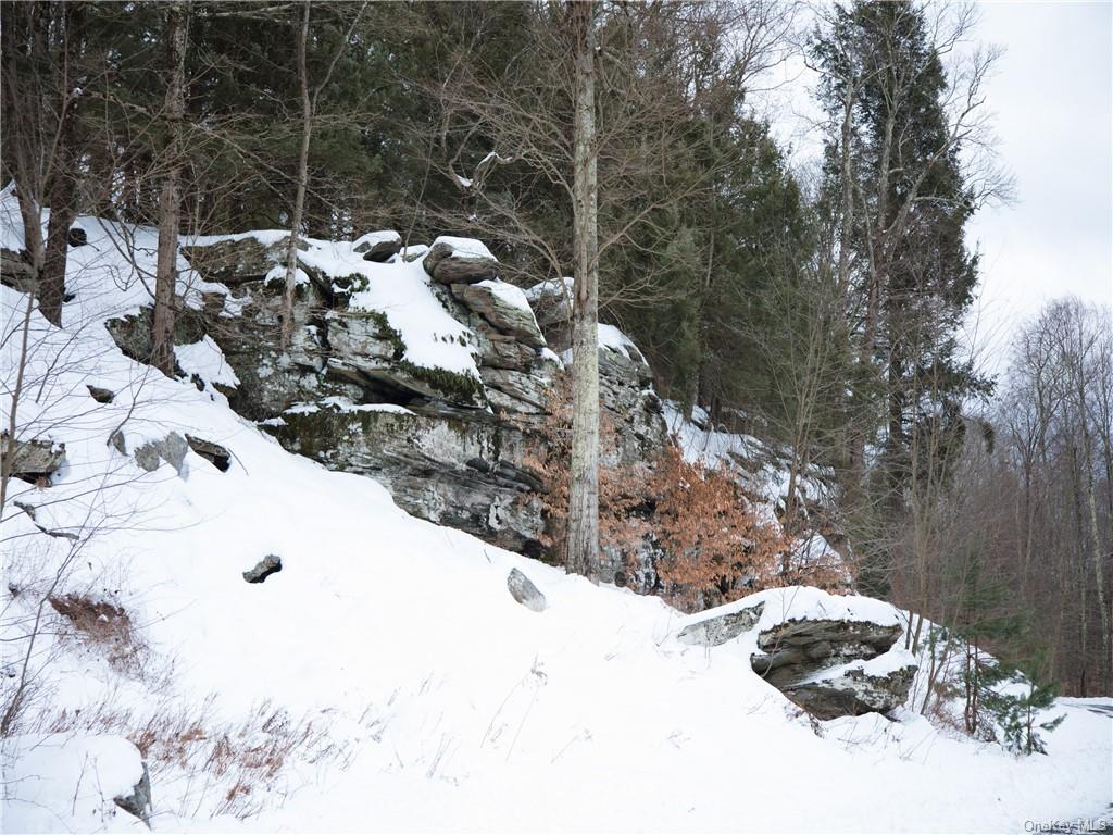 Kenoza Trail, Kenoza Lake, New York image 11