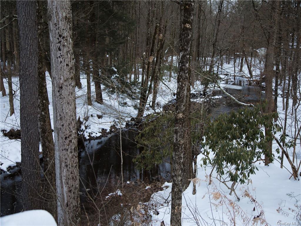 Kenoza Trail, Kenoza Lake, New York image 9