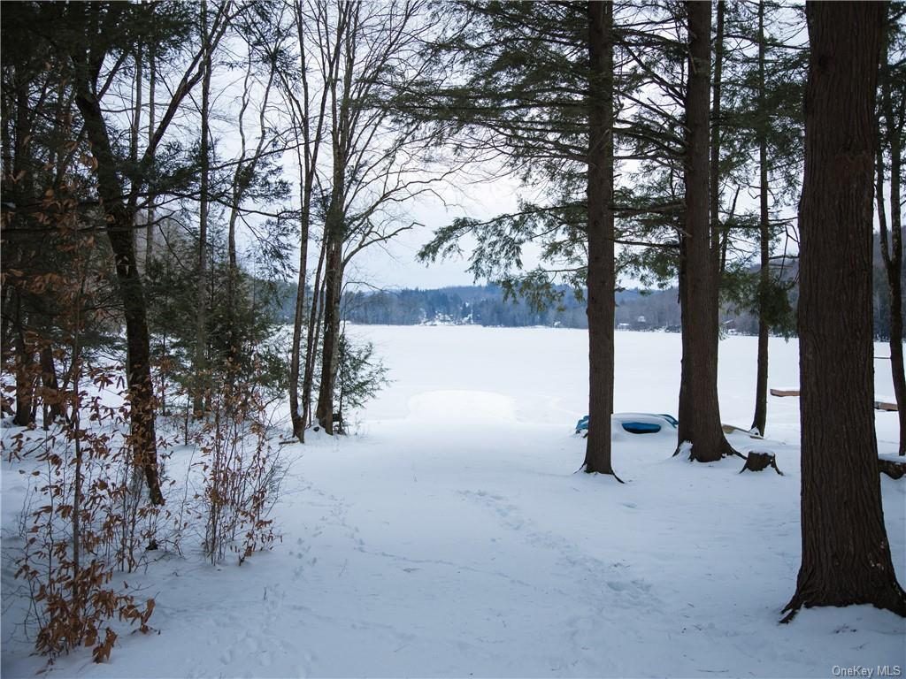 Kenoza Trail, Kenoza Lake, New York image 12