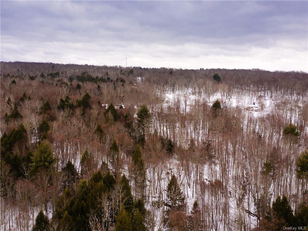 Kenoza Trail, Kenoza Lake, New York image 8