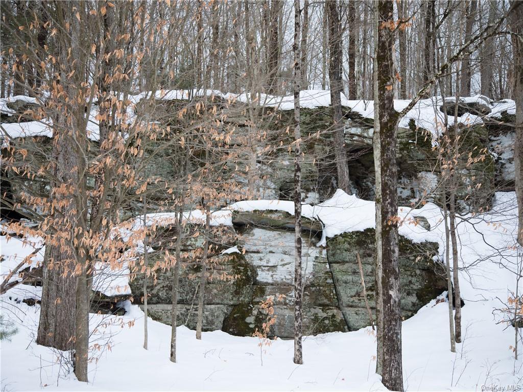 Kenoza Trail, Kenoza Lake, New York image 10