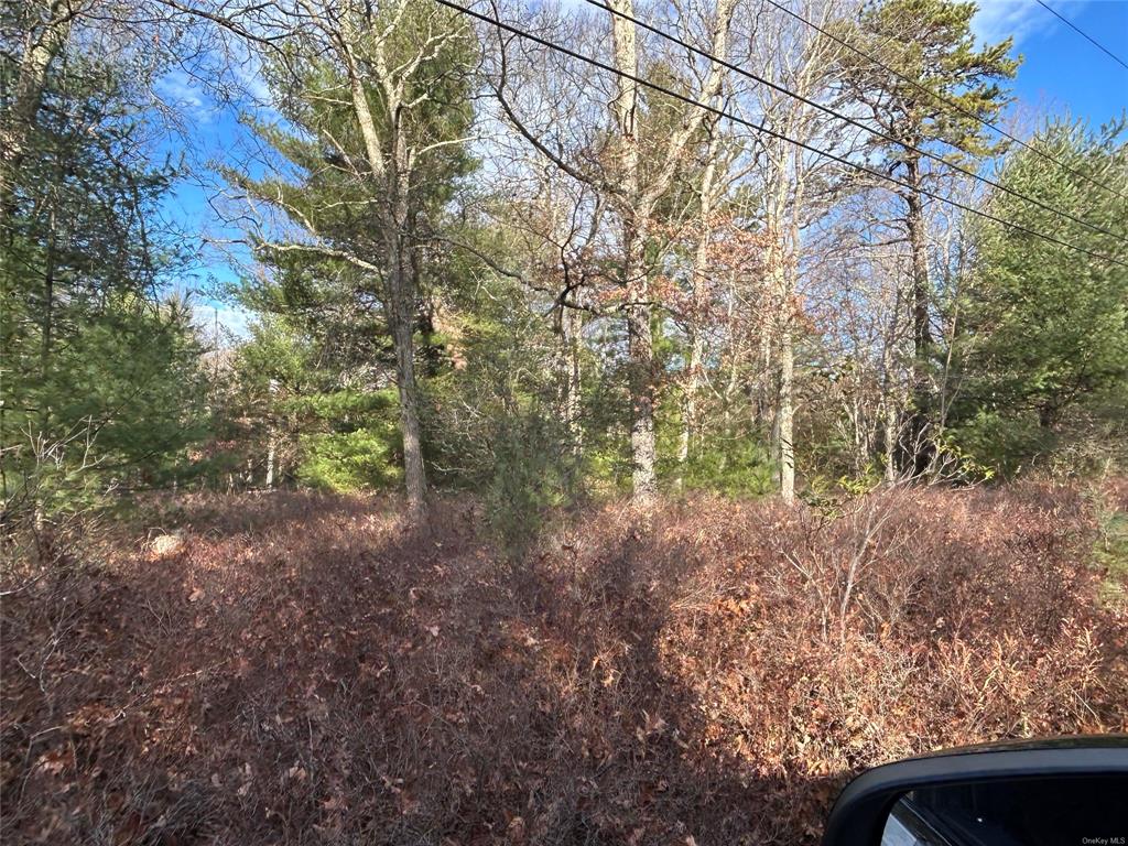 Lot 23.8 Kalin Weber Road, Glen Spey, New York image 1