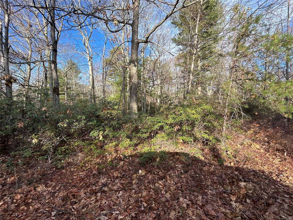 Lot 23.8 Kalin Weber Road, Glen Spey, New York image 6