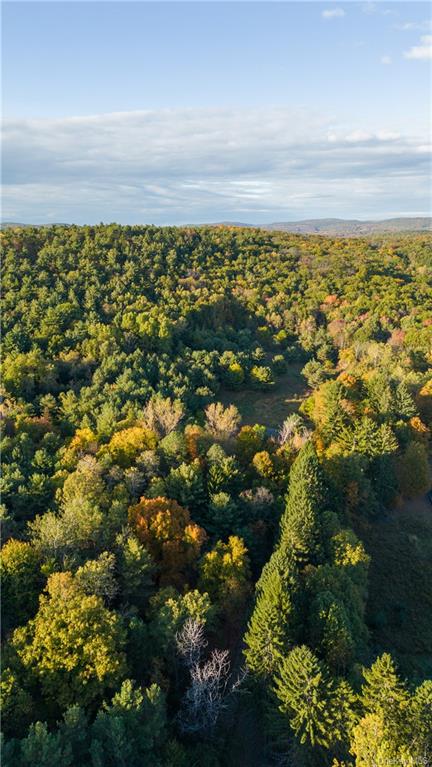 TBD County Route 7, Copake, New York image 6